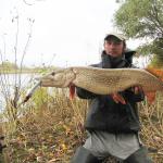 Pike fishing: Features of catching deep pikes